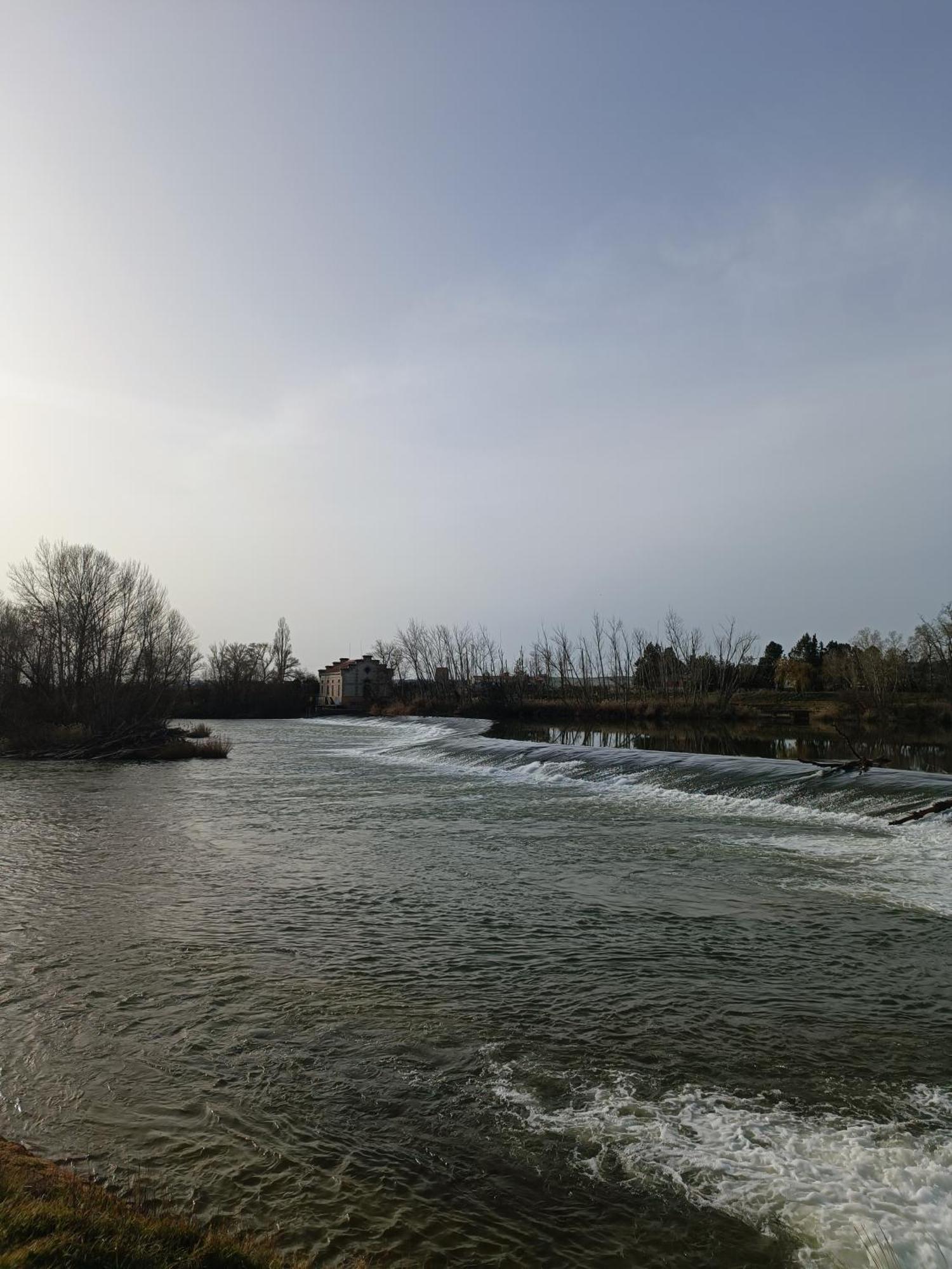 Pinar De Las Cabanuelas Villanueva de Duero Dış mekan fotoğraf