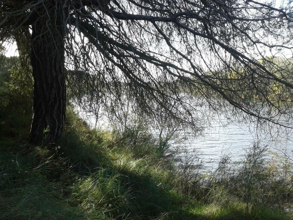 Pinar De Las Cabanuelas Villanueva de Duero Dış mekan fotoğraf