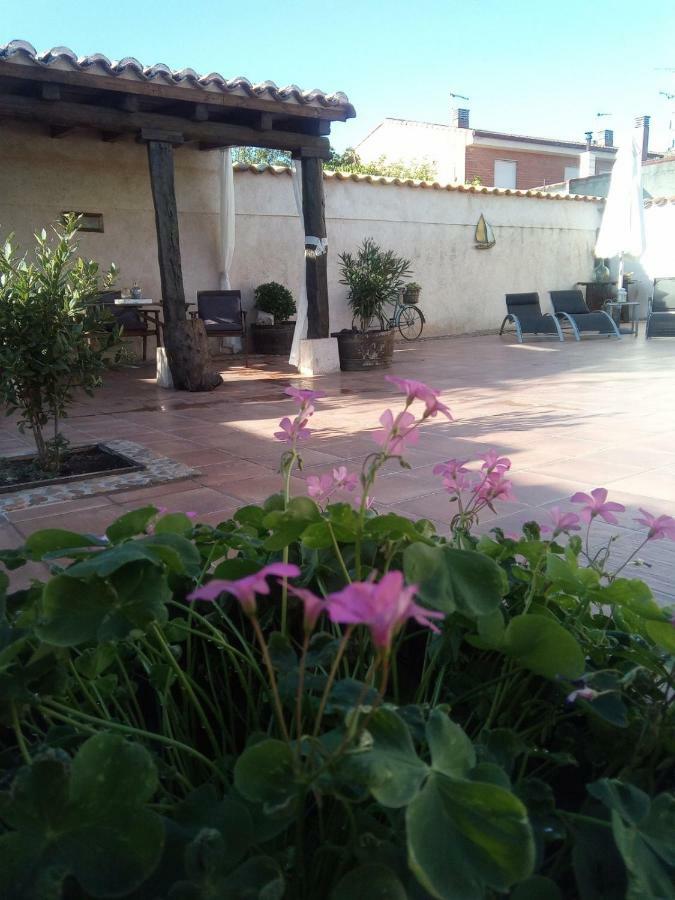 Pinar De Las Cabanuelas Villanueva de Duero Dış mekan fotoğraf